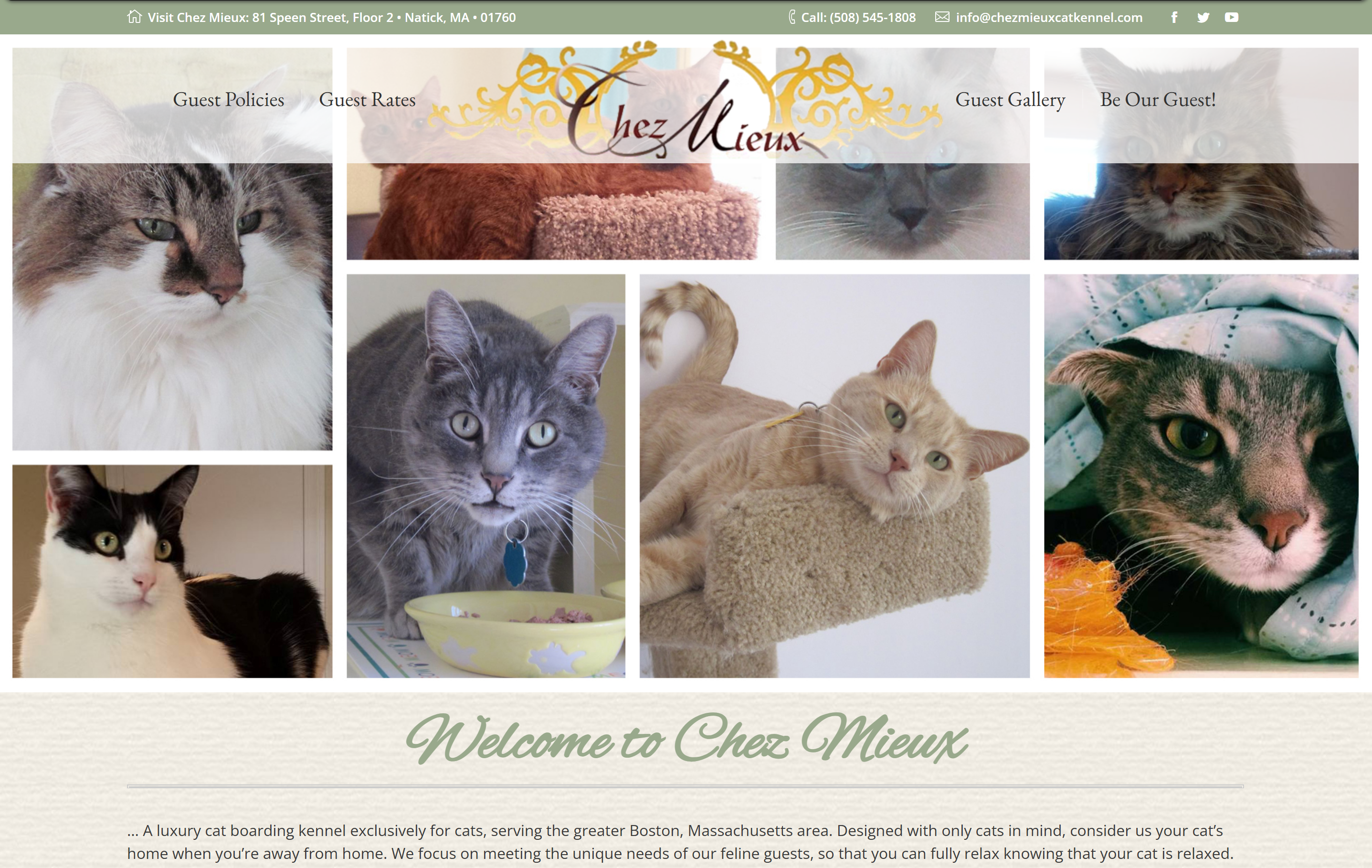 Chez Mieux old website screenshot